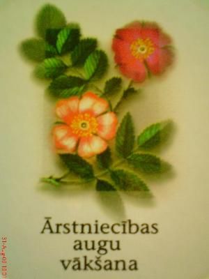 Ārstniecības augu vākšana