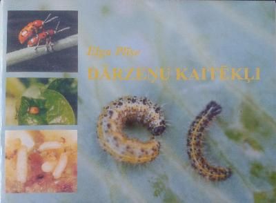 Dārzeņu kaitēkļi