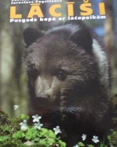 Lācīši