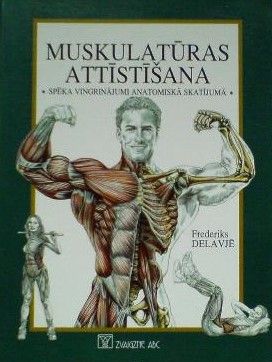 Muskulatūras attīstīšana