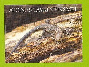 Atziņas tavai veiksmei