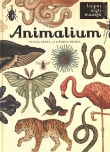Animalium