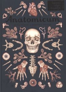 Anatomicum