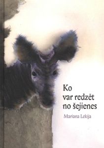 Ko var redzēt no šejienes