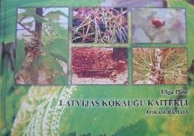 Latvijas kokaugu kaitēkļi