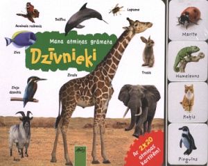 Mana atmiņas grāmata