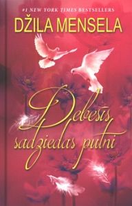Debesīs sadziedas putni