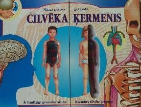 Cilvēka ķermenis