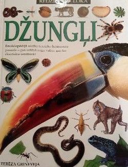Džungļi