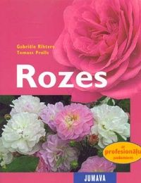 Rozes