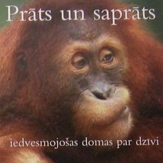 Prāts un saprāts