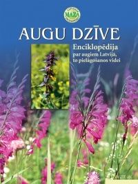 Augu dzīve
