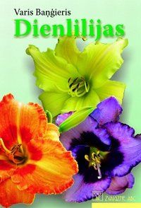 Dienlilijas