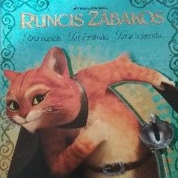 Runcis zābakos