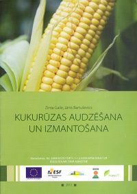 Kukurūzas audzēšana un izmantošana