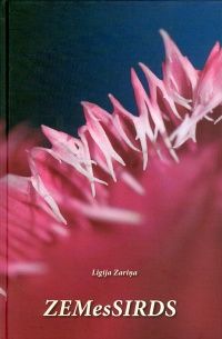 Zemessirds