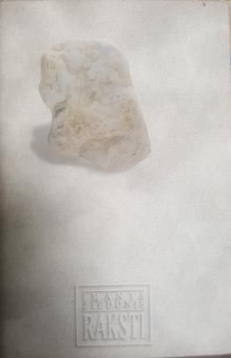 Raksti 8. Pasakas. Bērnu grāmatas