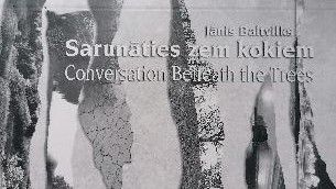 Imants Ziedonis Raksti 11.Sējums