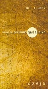 Man ir brīsniņš gaiša laika