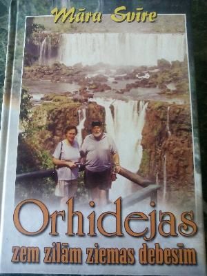 Orhidejas zem zilām ziemas debesīm