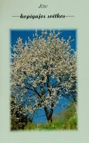 Jūsu kopīgajos svētkos