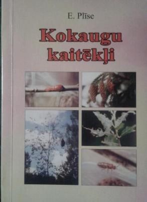 Kokaugu kaitēkļi