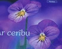 Ar cerību