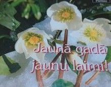 Jaunā gadā jaunu laimi!