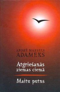 Atgriešanās ziemas ciemā