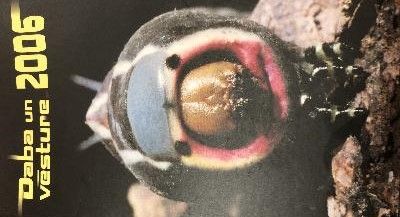 Daba un vēsture 2006