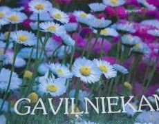 Gaviļniekam