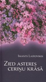 Zied asteres ceriņu krāsā