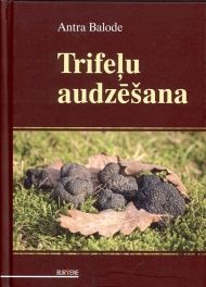 Trifeļu audzēšana