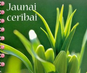 Jaunai cerībai
