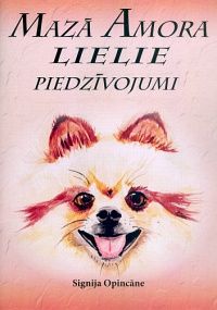 Mazā Amora lielie piedzīvojumi