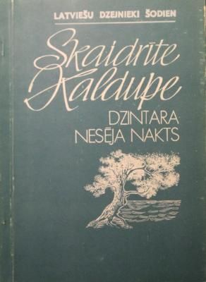 Dzintara nesēja nakts