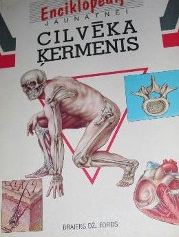 Cilvēka ķermenis