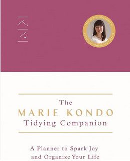 The tidying companion