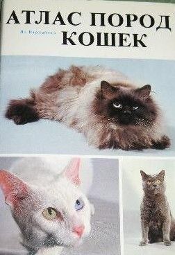 Атлас пород кошек