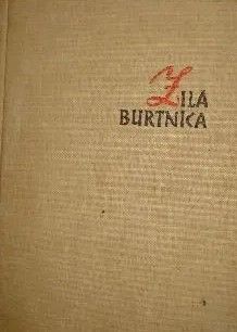 Zilā burtnīca