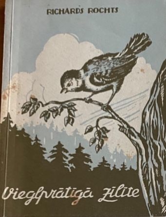 Vieglprātīgā zīlīte