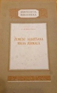 Zemeņu audzēšana Rīgas Jūrmalā