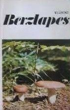 Bērzlapes
