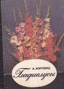 Гладиолусы