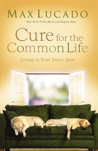 CURE FOR THE COMMON LIFE