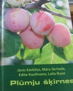 Plūmju šķirnes