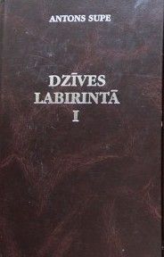 Dzīves labirintā I