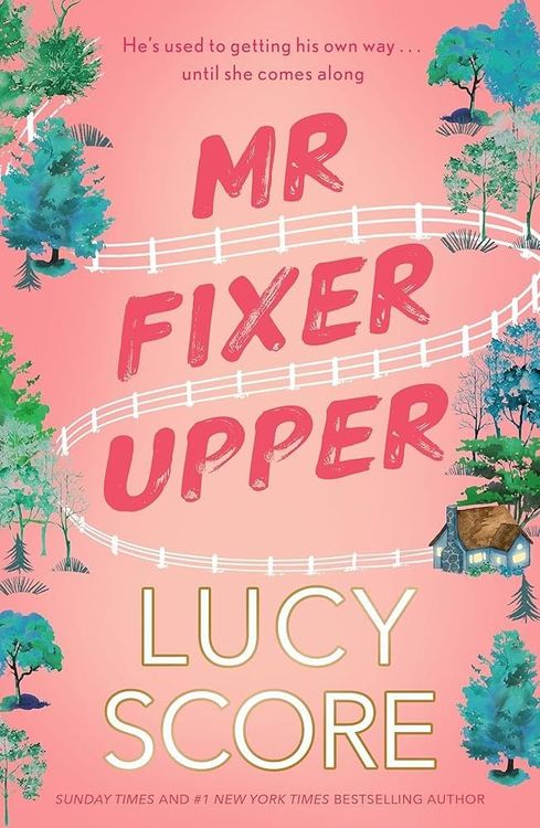 Mr. Fixer Upper
