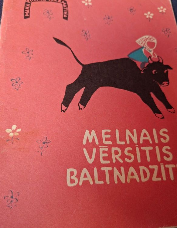 Melnais vērsītis baltnadzītis