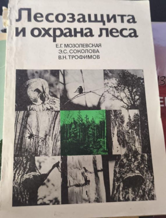 Лесозащита и охрана леса